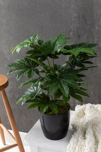 Yapay Salon Köşe Çiçeği Japon Çınar 80 Cm