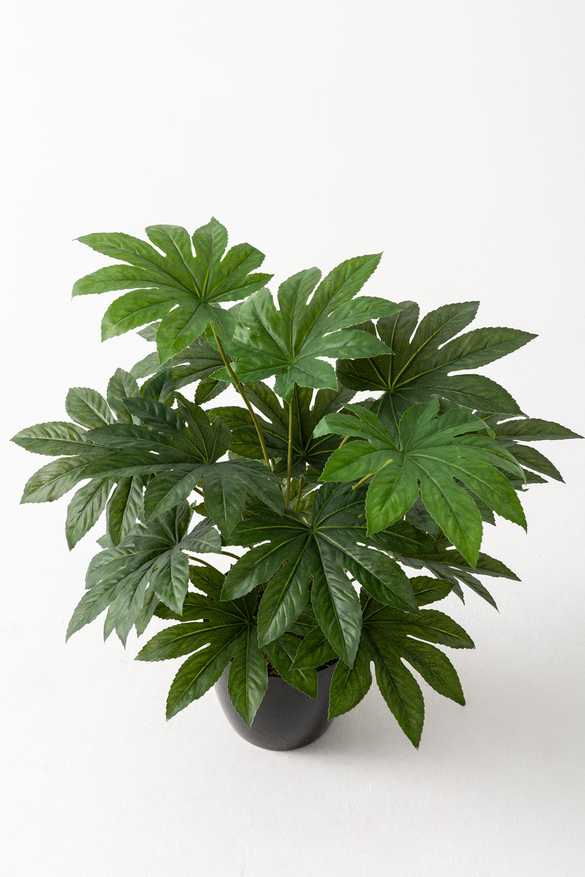 Yapay Salon Köşe Çiçeği Japon Çınar 80 Cm Saksısız