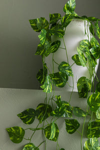 Yapay Sarı Desenli Zincir Sarmaşık 12'li