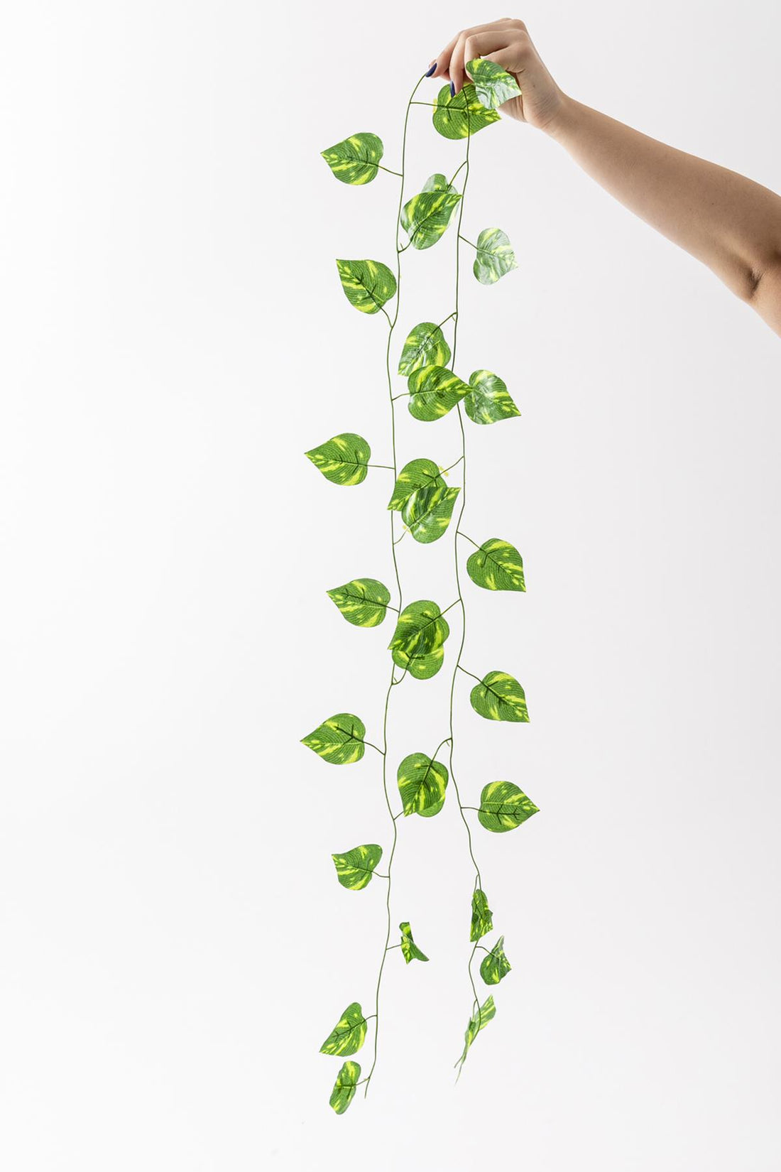 Yapay Sarı Desenli Zincir Sarmaşık 12&