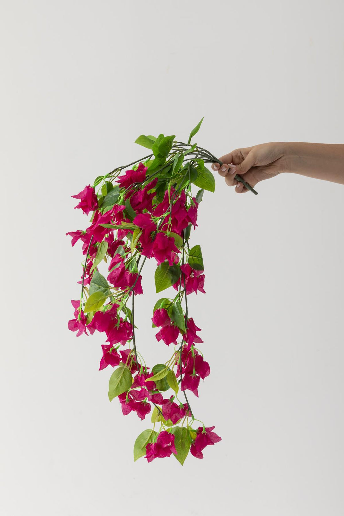 Yapay Sarmaşık Begonvil Fuşya 70 Cm