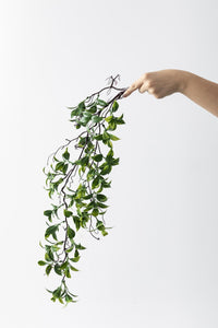 Yapay Sarmaşık Çay (Uv) Korumalı Yeşil 75 Cm 5 Dal (Uv)