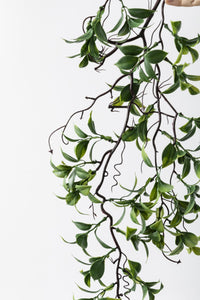 Yapay Sarmaşık Çay (Uv) Korumalı Yeşil 75 Cm 5 Dal (Uv)