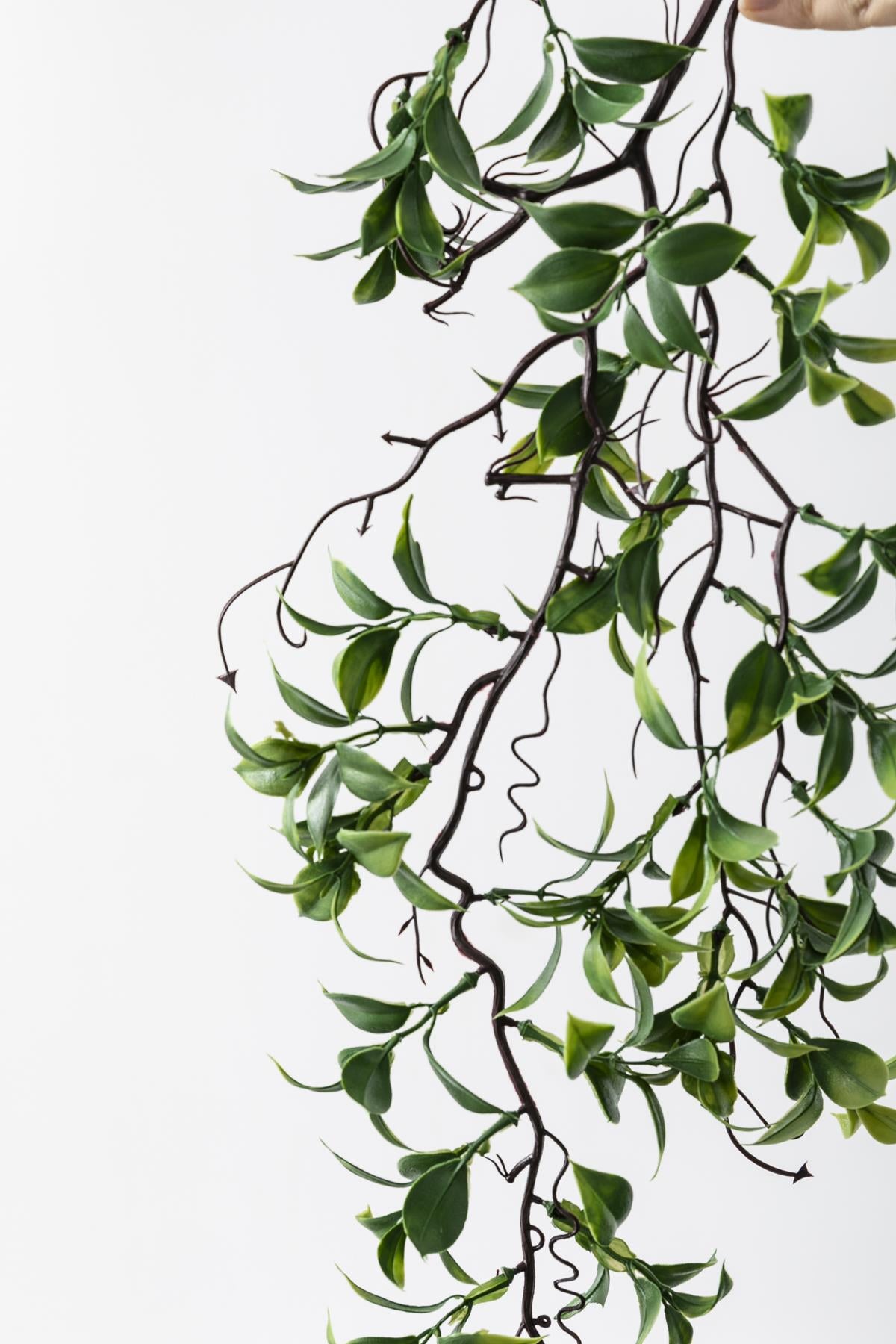 Yapay Sarmaşık Çay (Uv) Korumalı Yeşil 75 Cm 5 Dal (Uv)