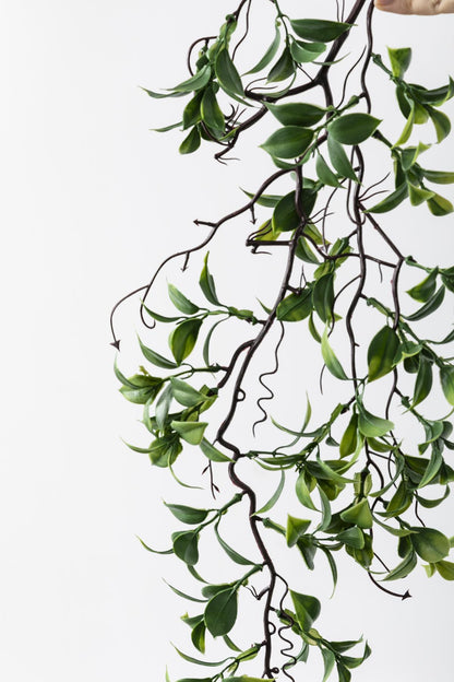 Yapay Sarmaşık Çay (Uv) Korumalı Yeşil 75 Cm 5 Dal (Uv)