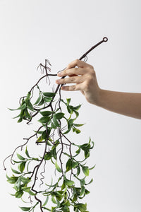 Yapay Sarmaşık Çay (Uv) Korumalı Yeşil 75 Cm 5 Dal (Uv)