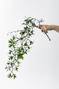 Yapay Sarmaşık Çay (Uv) Korumalı Yeşil 75 Cm 5 Dal (Uv)