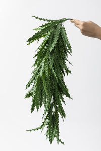 Yapay Sarmaşık Kaktüs UV Korumalı 80 Cm 5 Dal