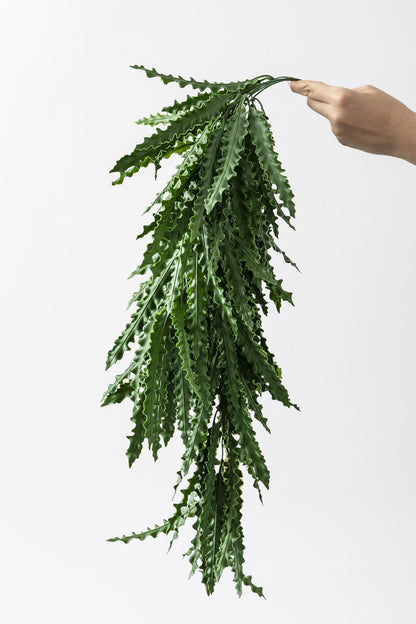 Yapay Sarmaşık Kaktüs UV Korumalı 80 Cm 5 Dal