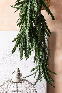 Yapay Sarmaşık Kaktüs UV Korumalı 80 Cm 5 Dal