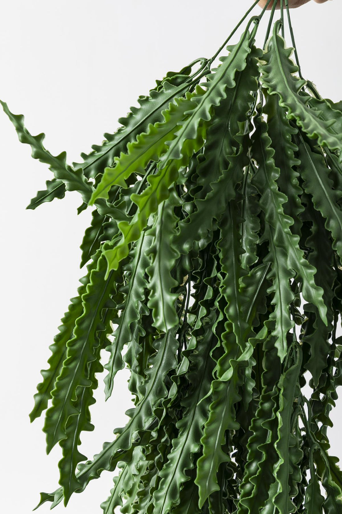 Yapay Sarmaşık Kaktüs UV Korumalı 80 Cm 5 Dal