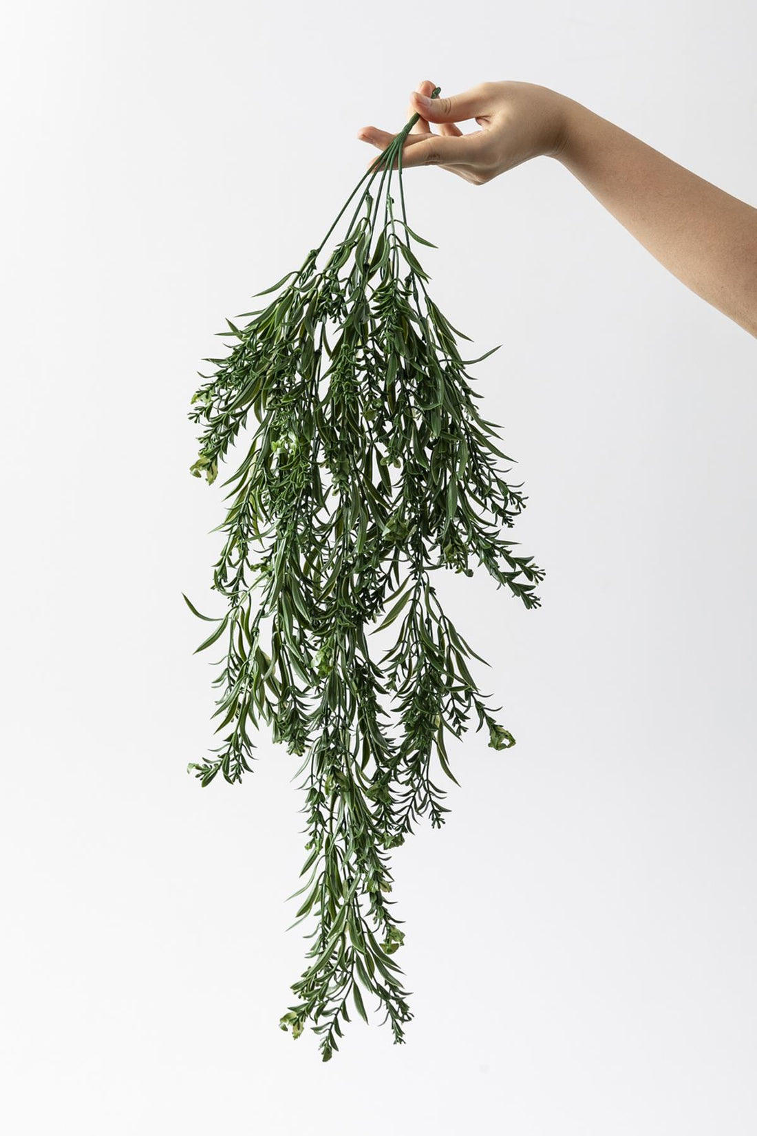 Yapay Sarmaşık Kılıç Uv Korumalı Koyu Yeşil 80 Cm 5 Dal