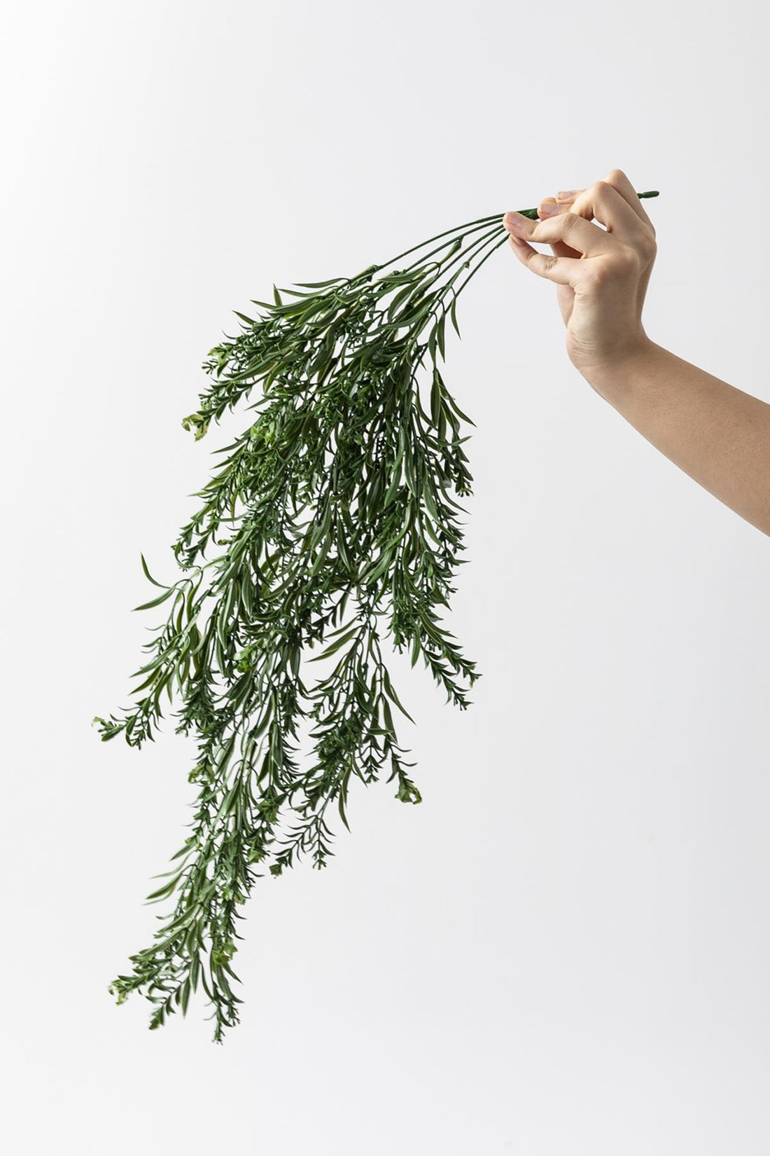 Yapay Sarmaşık Kılıç Uv Korumalı Koyu Yeşil 80 Cm 5 Dal