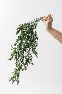 Yapay Sarmaşık Kılıç Uv Korumalı Koyu Yeşil 80 Cm 5 Dal