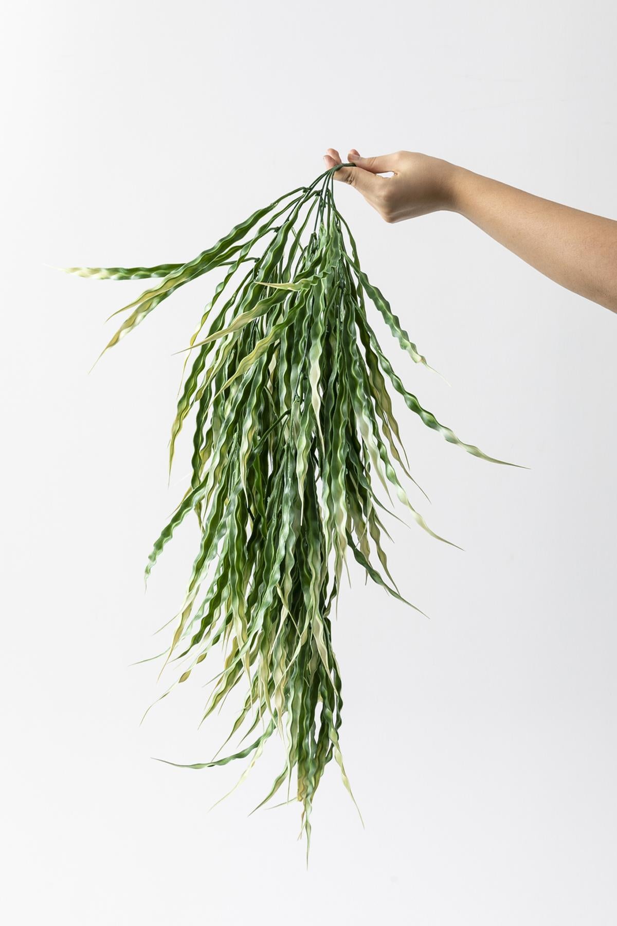 Yapay Sarmaşık Sazlık Yeşil Krem 90 Cm 5 Dal