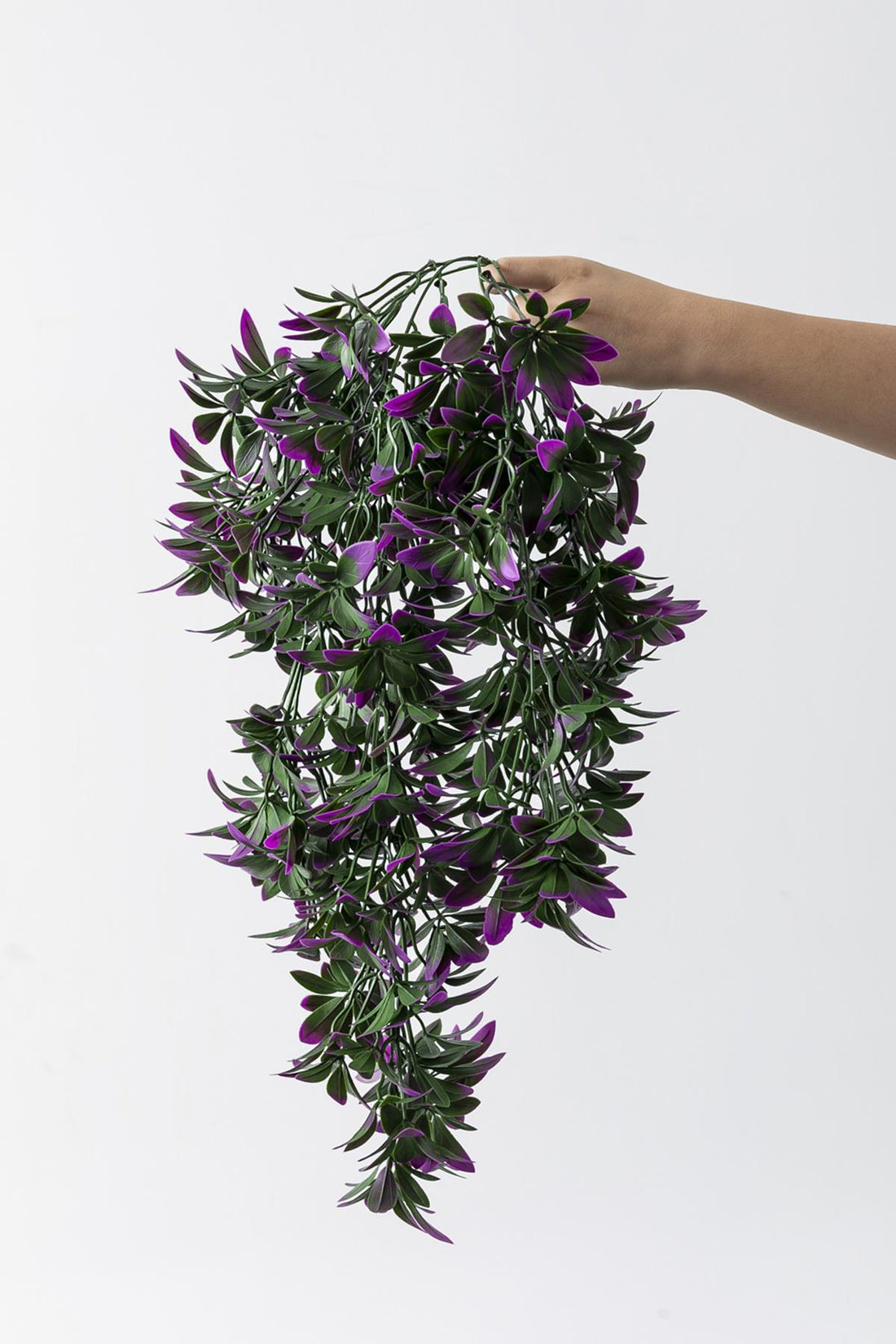 Yapay Sarmaşık Şeflore Uv Korumalı Yeşil Mor 80 Cm 5 Dal