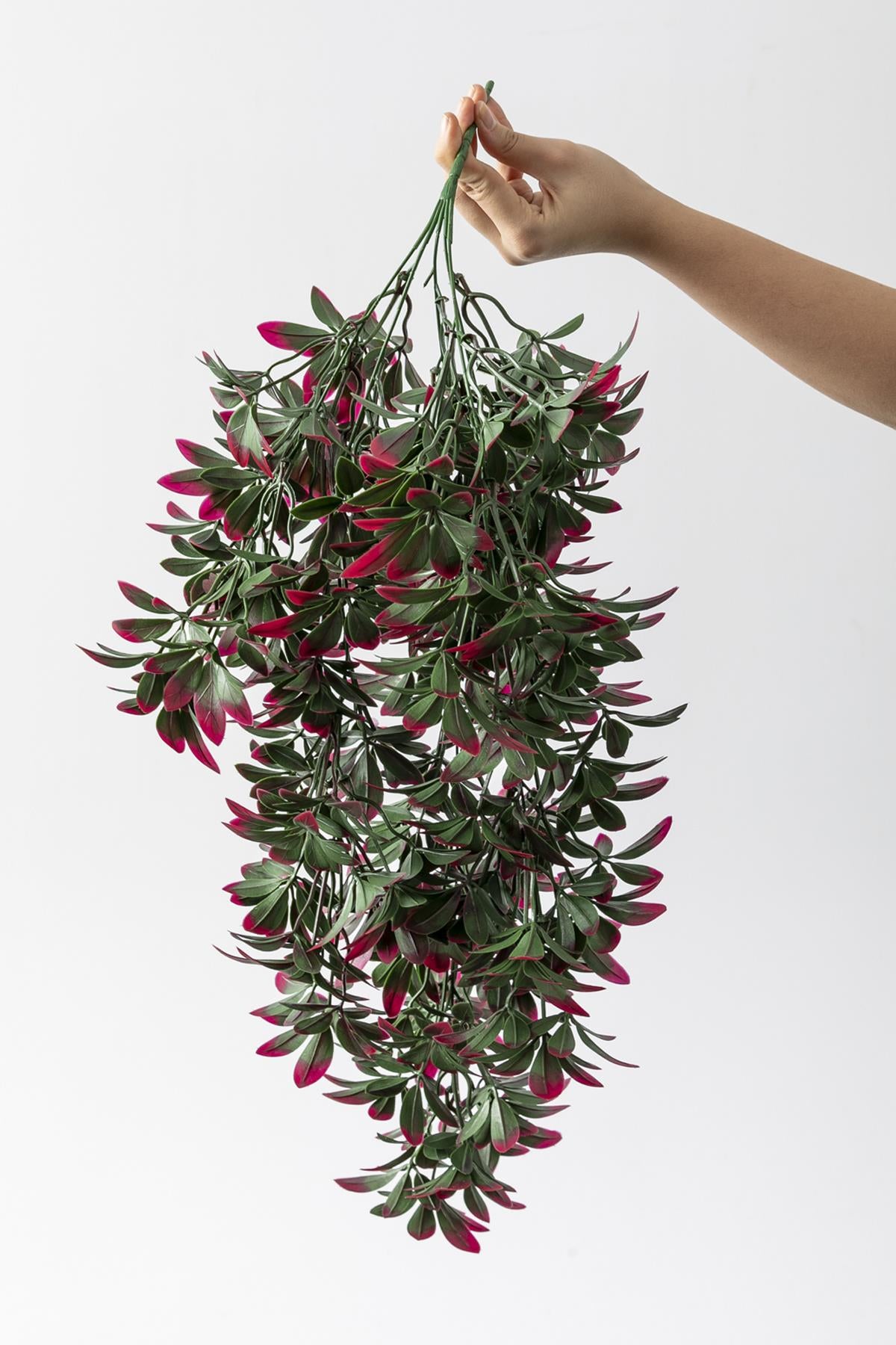 Yapay Sarmaşık Şeflore Uv Korumalı Yeşil Pembe 80 Cm 5 Dal