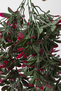 Yapay Sarmaşık Şeflore Uv Korumalı Yeşil Pembe 80 Cm 5 Dal