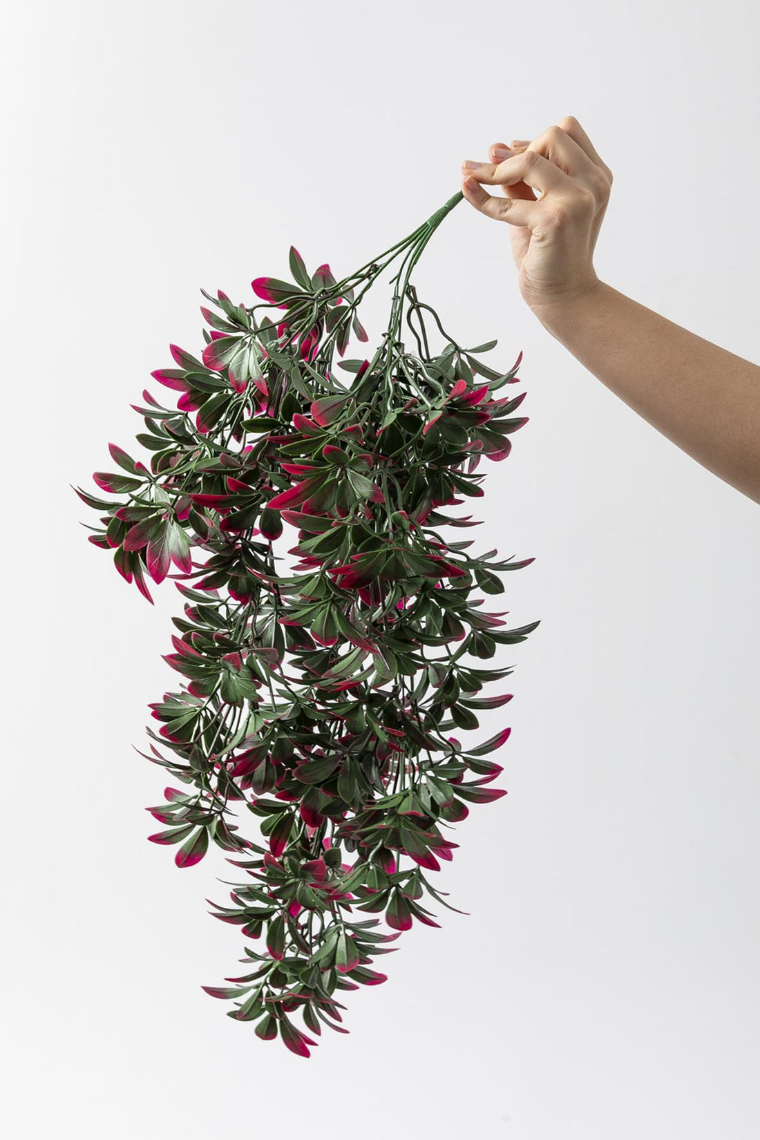 Yapay Sarmaşık Şeflore Uv Korumalı Yeşil Pembe 80 Cm 5 Dal