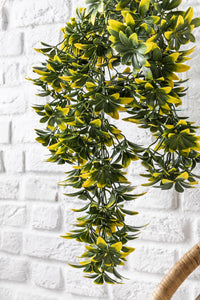 Yapay Sarmaşık Şeflore (Uv) Korumalı Yeşil Sarı 80 Cm 5 Dal (Uv)