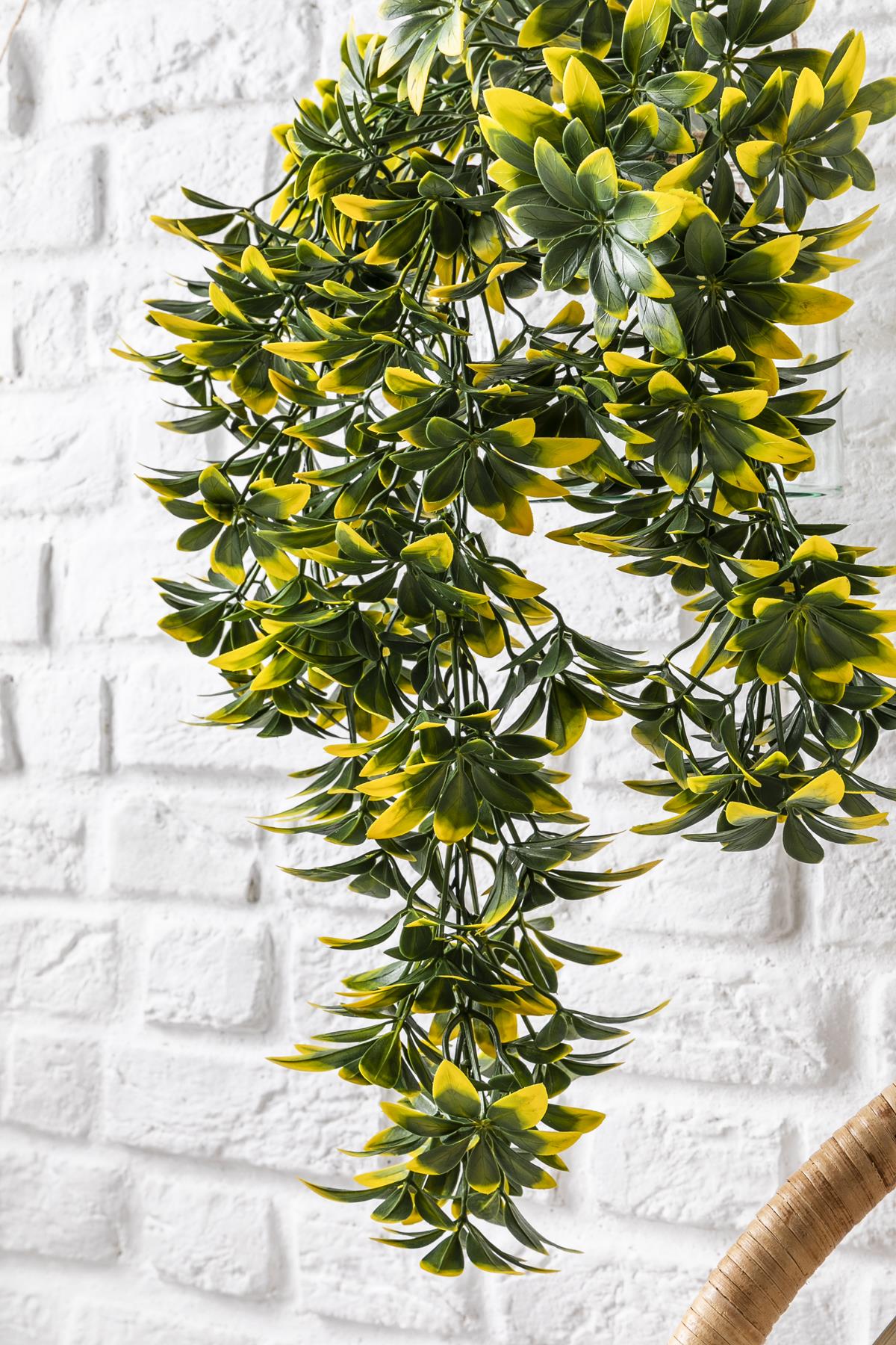 Yapay Sarmaşık Şeflore (Uv) Korumalı Yeşil Sarı 80 Cm 5 Dal (Uv)