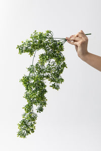 Yapay Şimşir Sarmaşık 75 Cm 5 Dal Uv