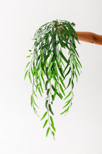 Yapay Sarmaşık Söğüt 100 Cm