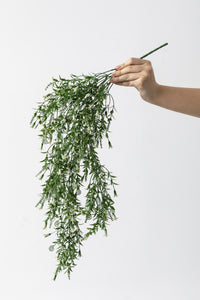 Yapay Sarmaşık Uv Korumalı Küpe Yeşil Beyaz 80 Cm 5 Dal