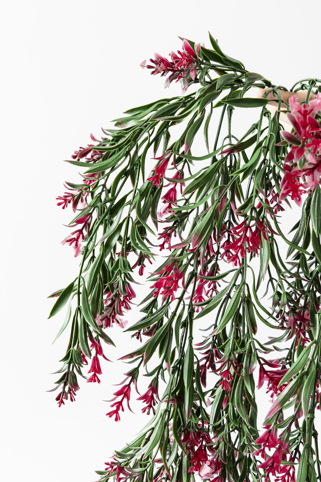 Yapay Sarmaşık Uv Korumalı Küpe Yeşil Pembe 80 Cm 5 Dal