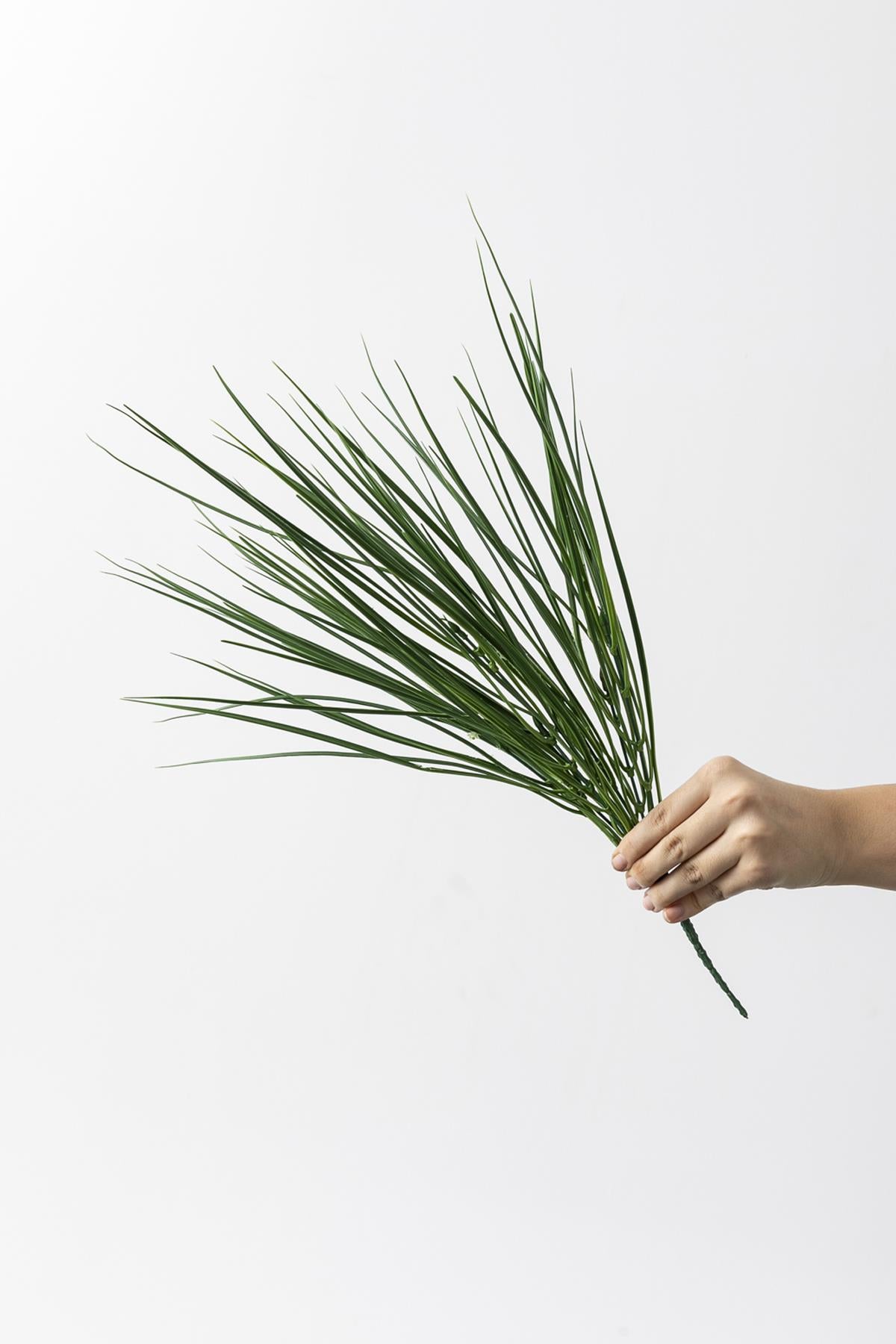 Yapay Saz Demeti Açık Yeşil 50 Cm 7 Dal (Uv)