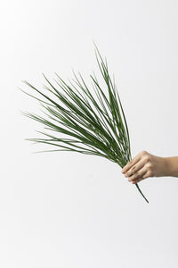 Yapay Saz Demeti Açık Yeşil 50 Cm 7 Dal (Uv)