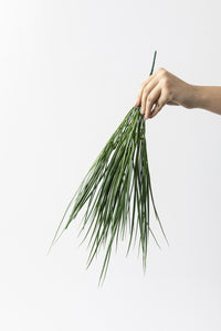 Yapay Saz Demeti Açık Yeşil 50 Cm 7 Dal (Uv)