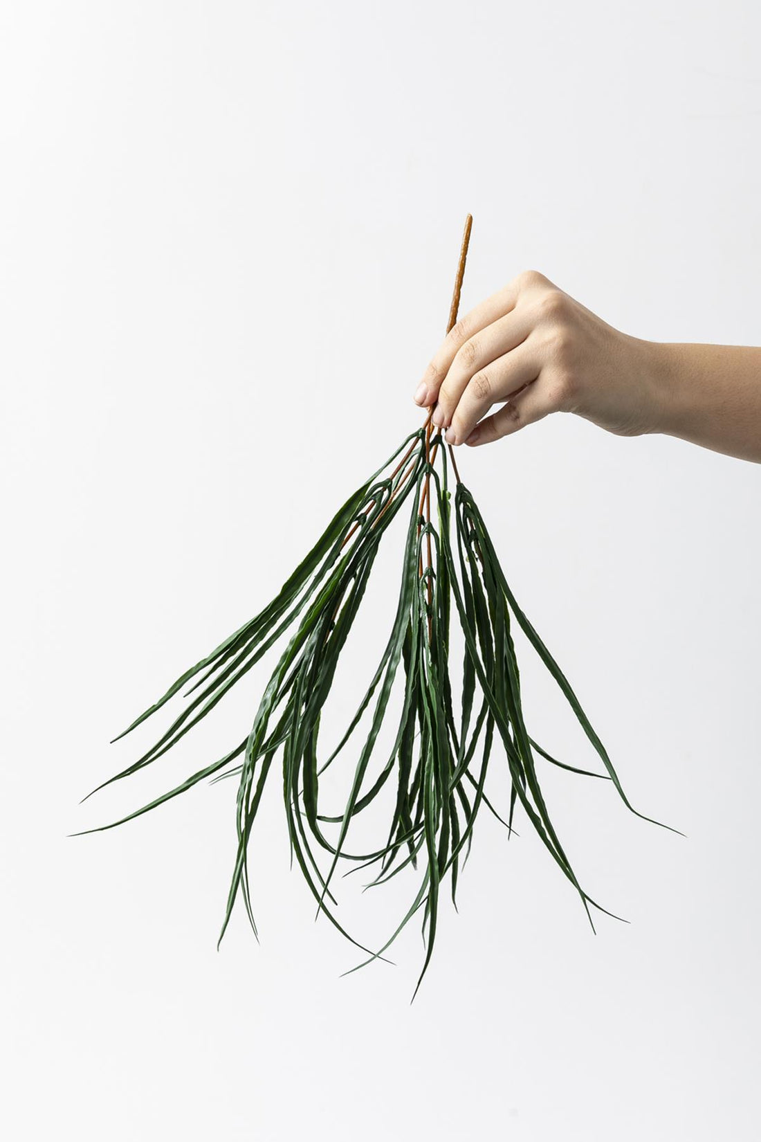 Yapay Saz Demeti Yeşil 40 Cm 10 Dal(Uv)