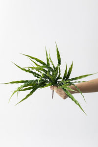 Yapay Saz Demeti Yeşil 50 Cm 7 Dal(Uv)