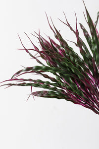 Yapay Saz Demeti Yeşil Pembe 40 Cm 5 Dal(Uv)