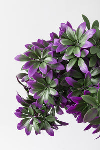 Yapay Şefrole Demeti Mor 60 Cm 24 Dal(Uv)