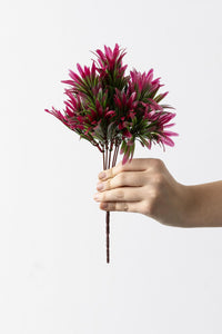 Yapay Şefrole Demeti Yeşil Pembe 30 Cm 5 Dal(Uv)