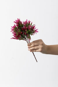 Yapay Şefrole Demeti Yeşil Pembe 30 Cm 5 Dal(Uv)