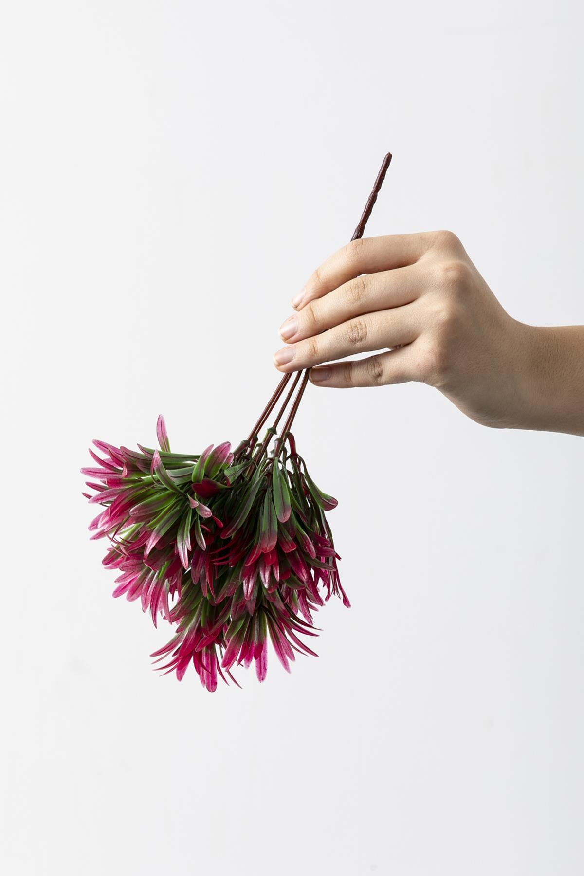 Yapay Şefrole Demeti Yeşil Pembe 30 Cm 5 Dal(Uv)