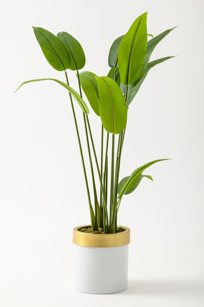 Yapay Starliçe Ağacı 120 Cm Beyaz Gold Saksı