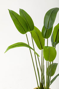 Yapay Starliçe Ağacı 120 Cm Beyaz Gold Saksı