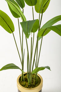 Yapay Starliçe Ağacı 120 Cm Kahverengi Gold Saksı