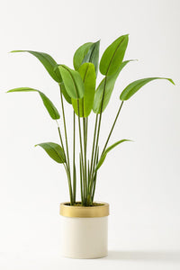 Yapay Starliçe Ağacı 120 Cm Krem Gold Saksı