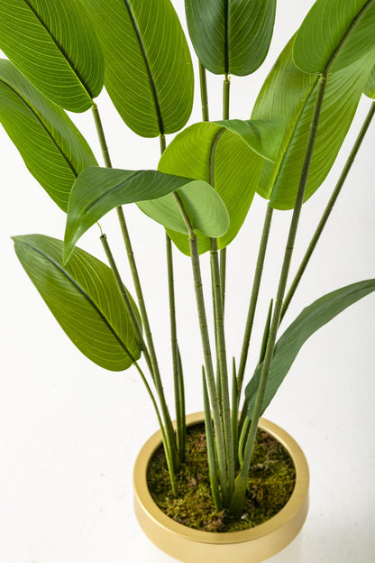 Yapay Starliçe Ağacı 120 Cm Krem Gold Saksı