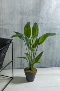 Yapay Starliçe Ağacı 120 Cm Plastik Saksı