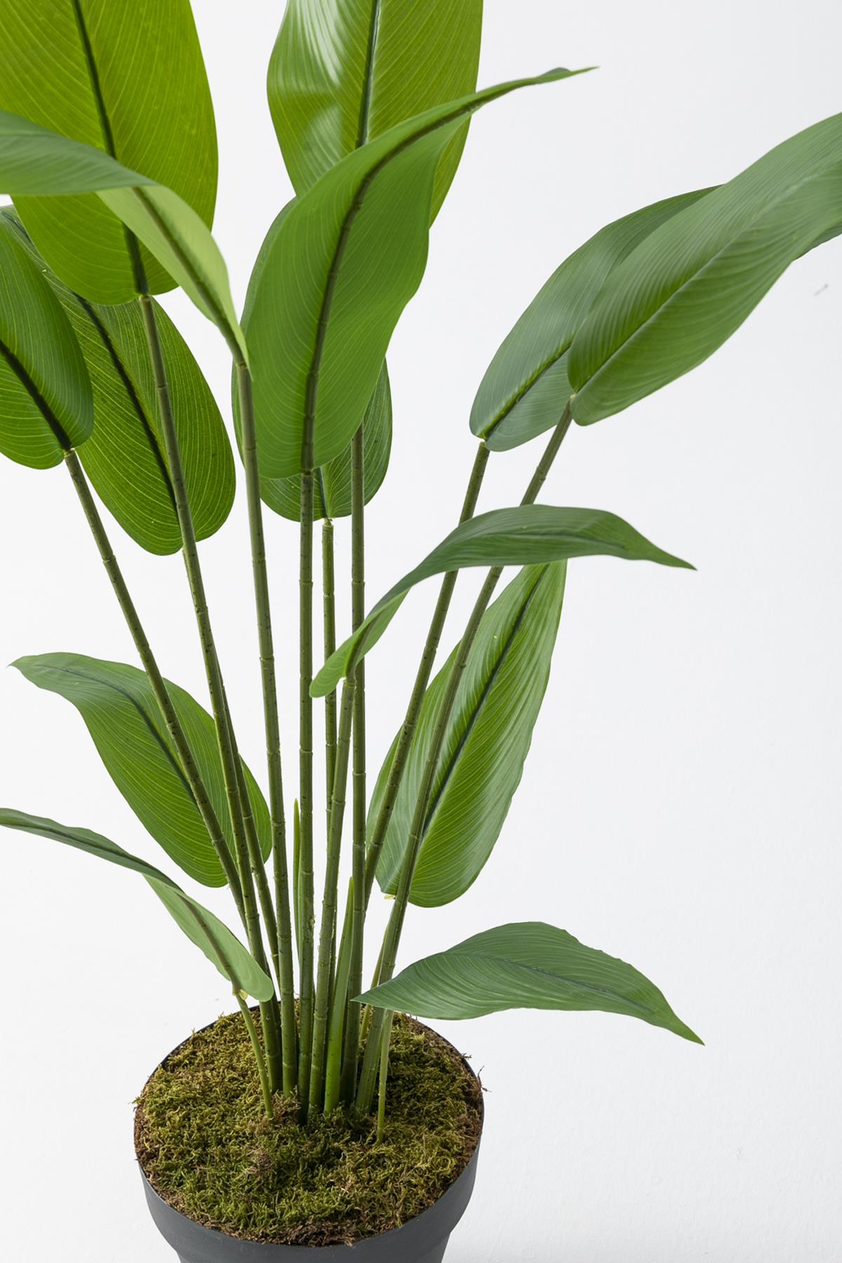 Yapay Starliçe Ağacı 120 Cm Plastik Saksı