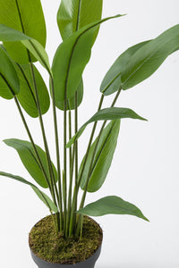 Yapay Starliçe Ağacı 120 Cm Plastik Saksı