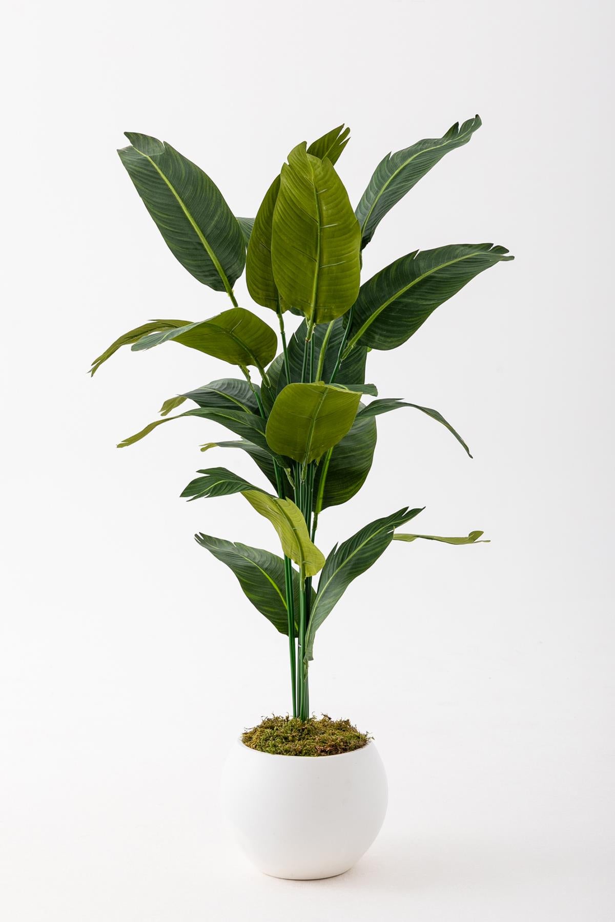 Yapay Starliçe Ağacı 130 Cm Beyaz Küre Saksı