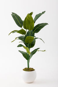 Yapay Starliçe Ağacı 130 Cm Beyaz Küre Saksı