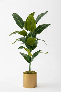 Yapay Starliçe Ağacı 130 Cm Gold Saksı